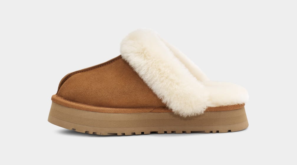Disquette Slipper
