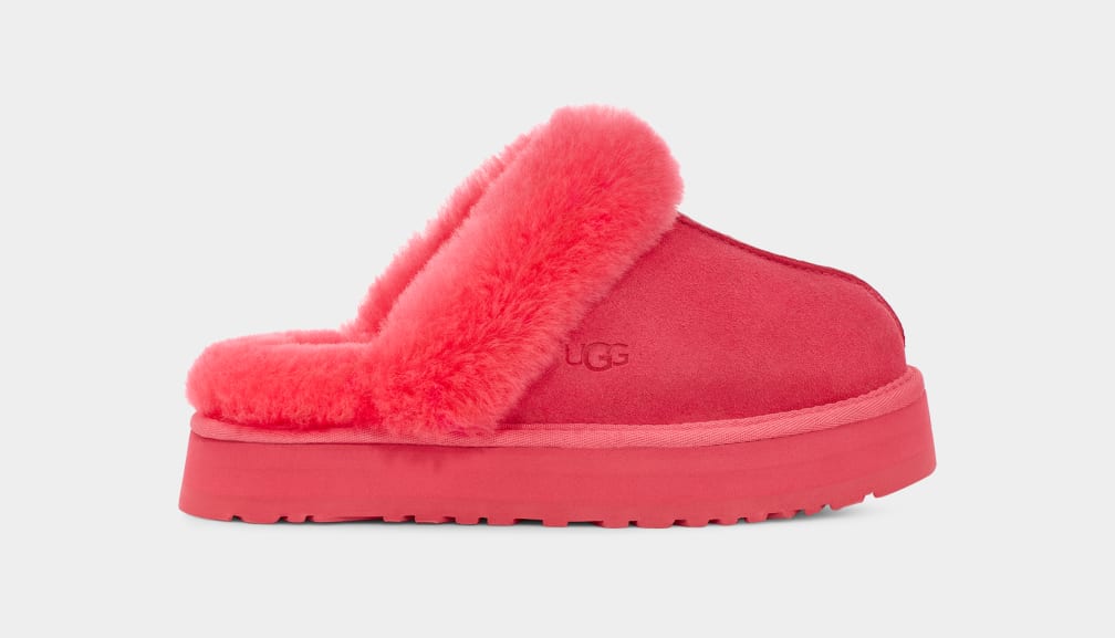 Disquette Slipper