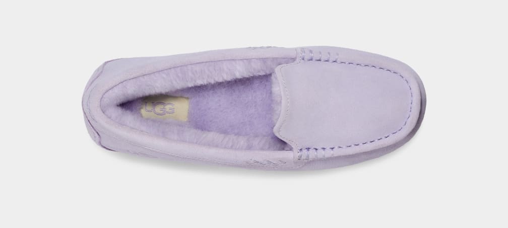 Ansley Slipper