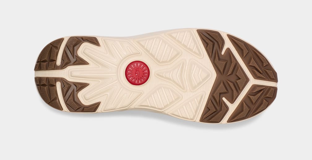 CA805 V2 Remix Heritage Trainer