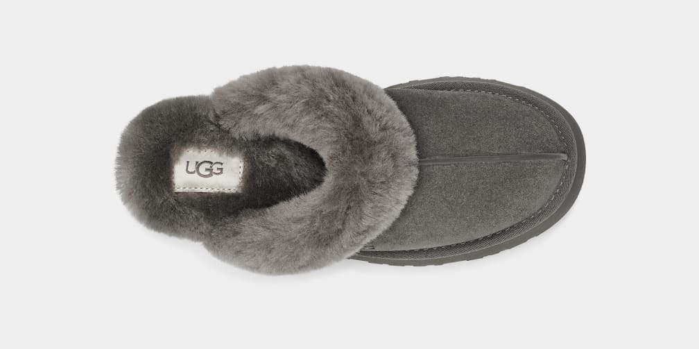 Disquette Slipper