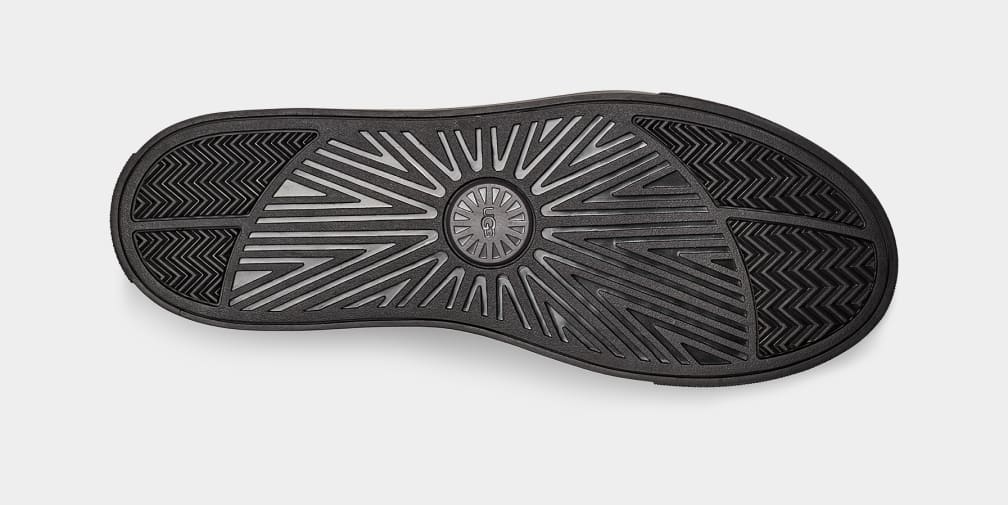 Baysider High Weather Trainer