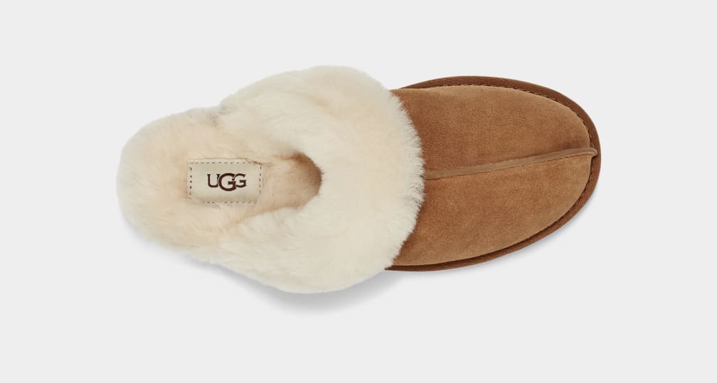Scuffette II Slipper