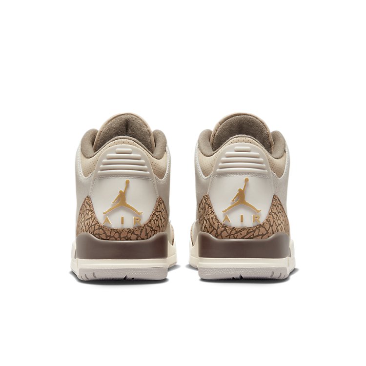 Air Jordan 3 Retro \'Palomino\'  CT8532-102 Epochal Sneaker