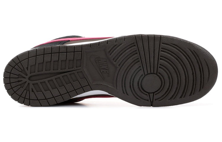 Nike Dunk Low Pro SB \'720\'  304292-062 Classic Sneakers