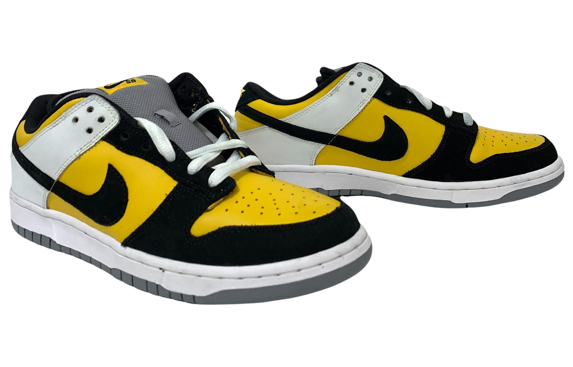Nike Dunk Low Pro SB \'Bic\'  304292-701 Signature Shoe