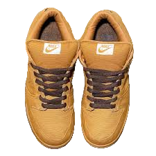 Nike Dunk Low Pro SB \'Carhartt Brown\'  304292-224 Vintage Sportswear