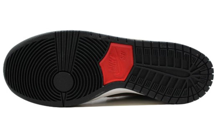 Nike Dunk Mid Pro Sb \'Patagonia\'  314383-302 Classic Sneakers