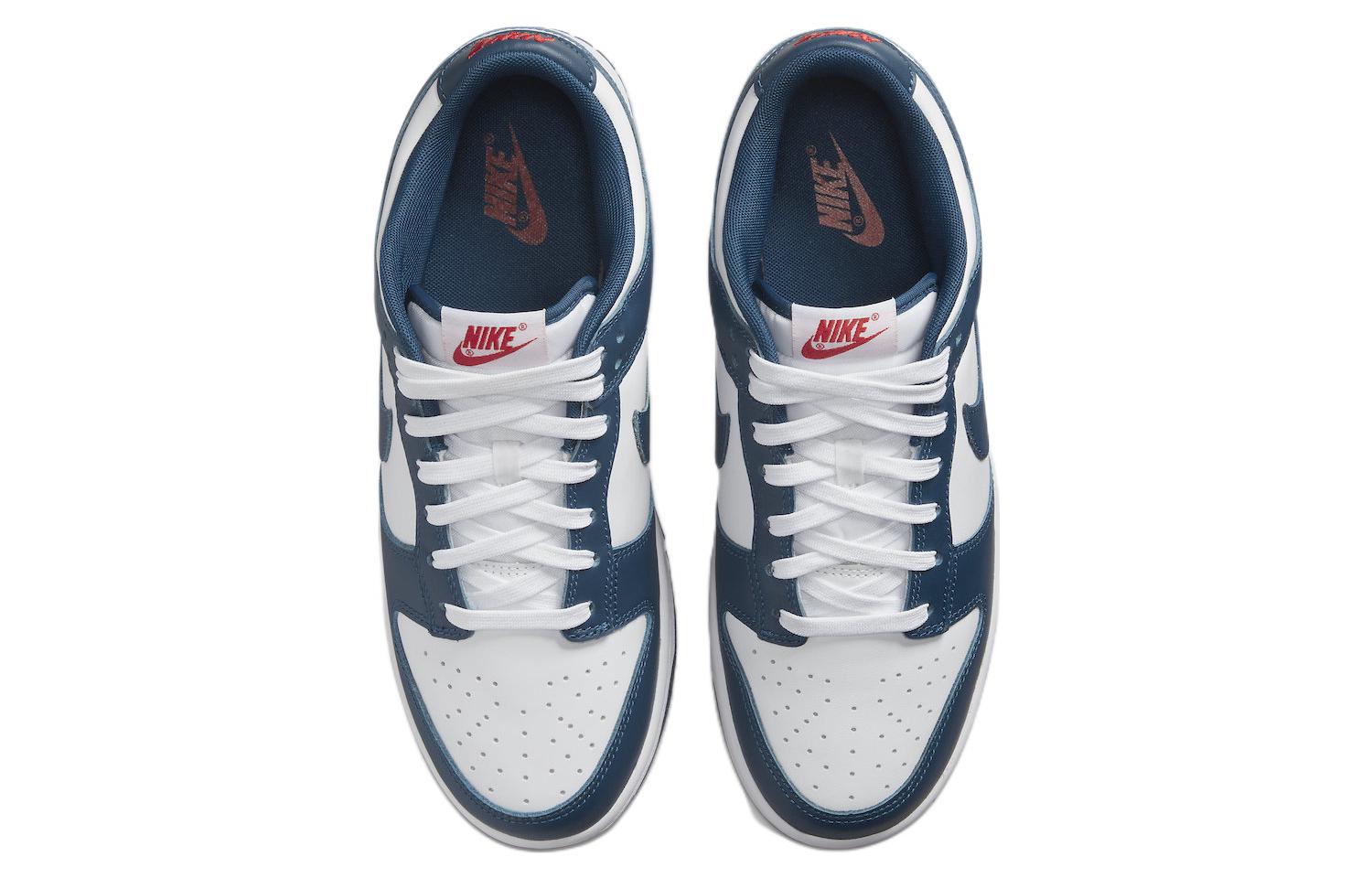 Nike Dunk Low \'Valerian Blue\'  DD1391-400 Antique Icons