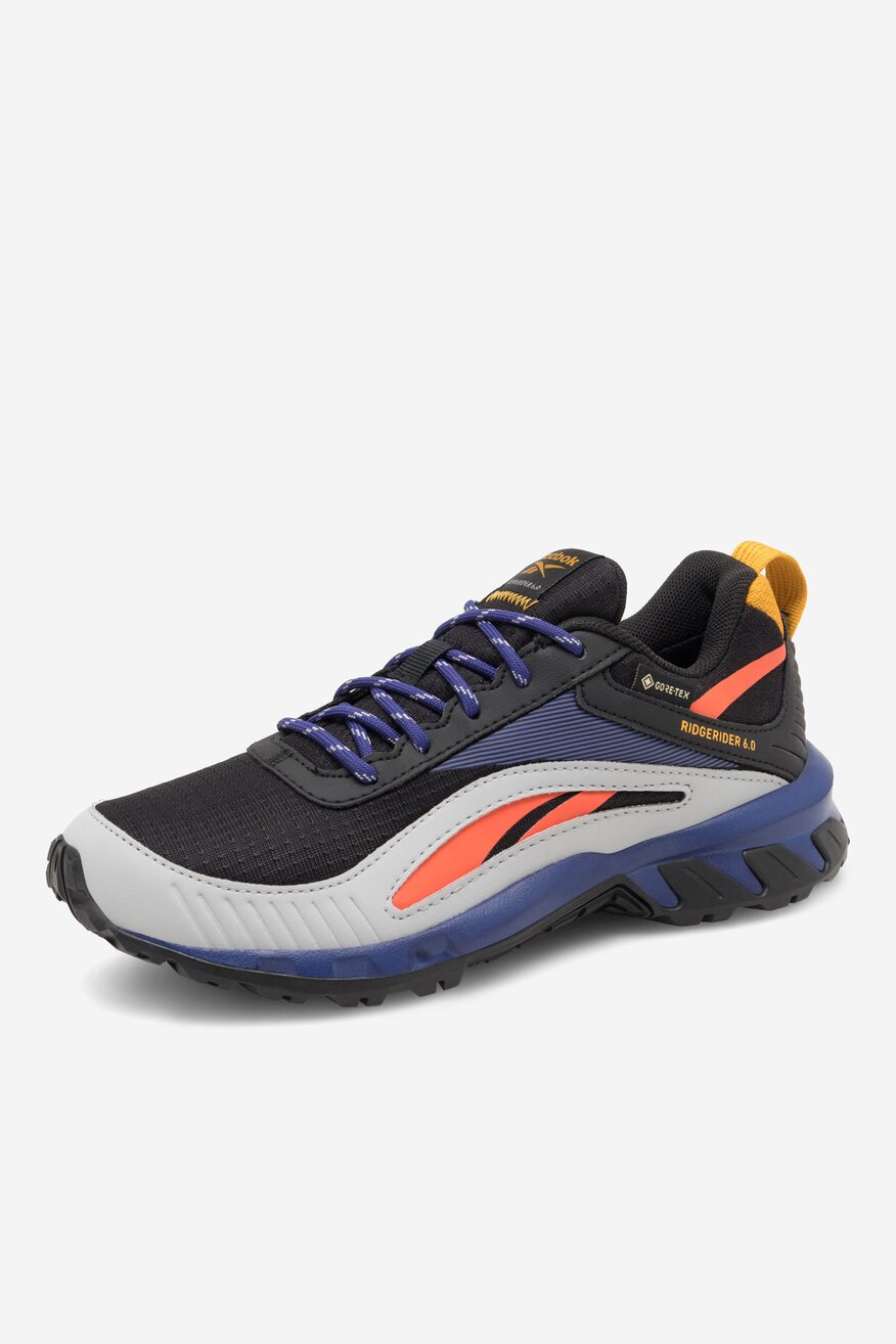 Sneakers Reebok RIDGERIDER 6 GTX GX2247 MIX