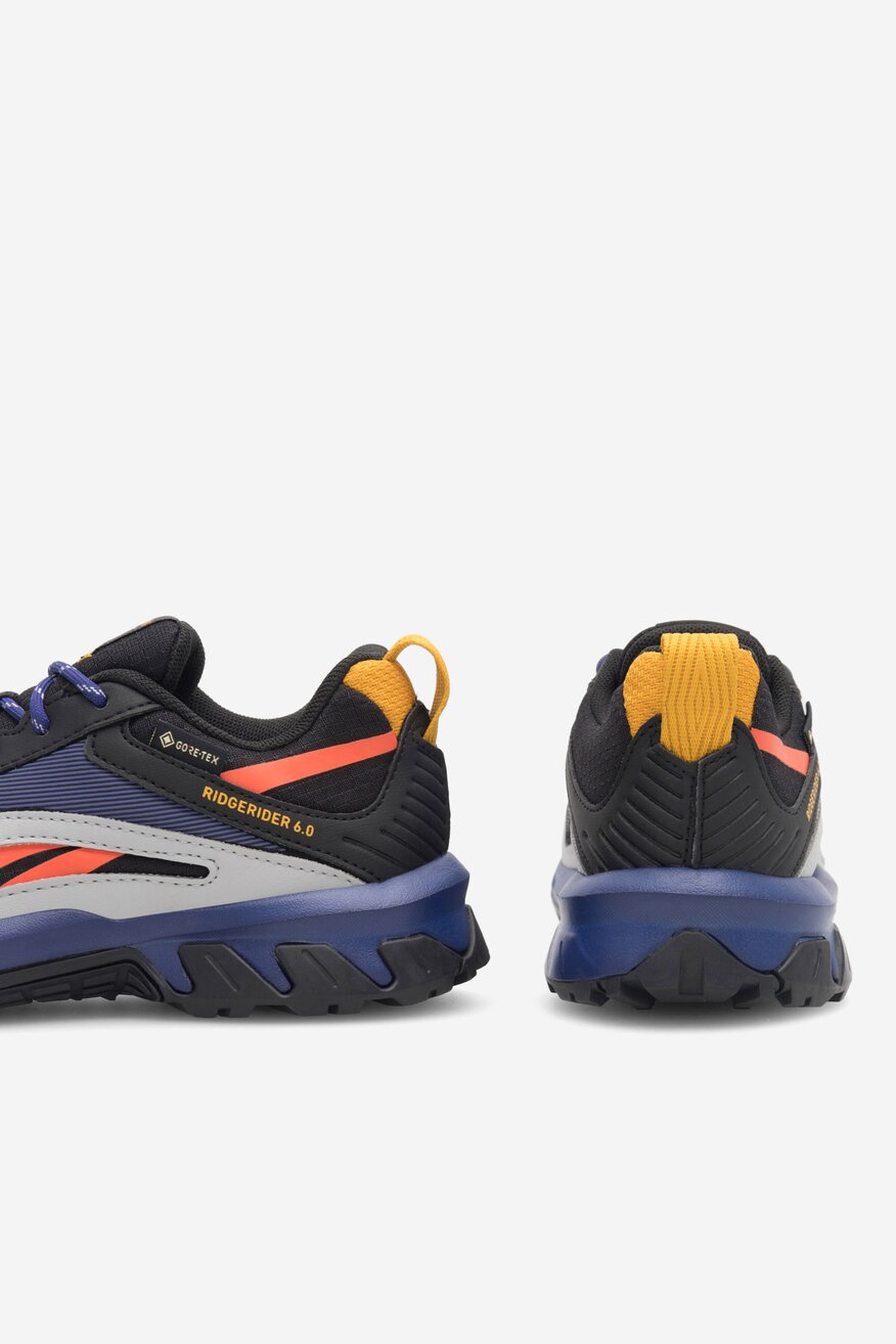 Sneakers Reebok RIDGERIDER 6 GTX GX2247 MIX