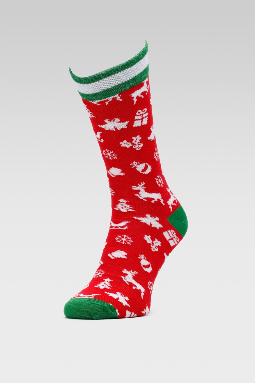 Skarpetki męskie ACCCESSORIES AW22FIL-REN BLD 41-43 MIX