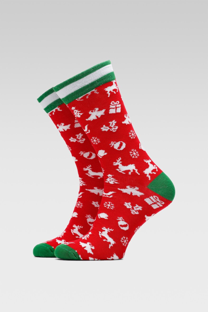 Skarpetki męskie ACCCESSORIES AW22FIL-REN BLD 41-43 MIX