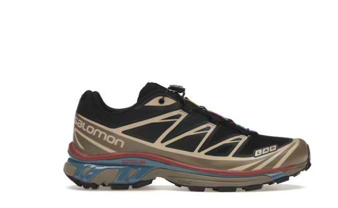 Salomon XT-6