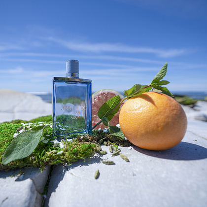 Jimmy Choo Man Aqua Eau de Toilette Gift Set