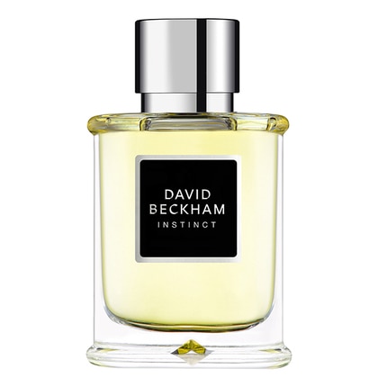 David Beckham Instinct Eau de Toilette Spray