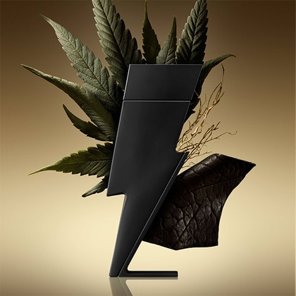 Carolina Herrera Bad Boy Le Parfum Eau de Parfum Spray