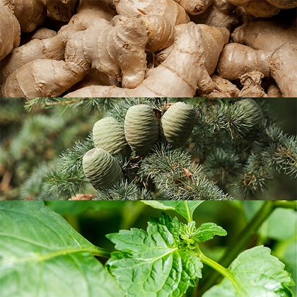 Calvin Klein Euphoria Men Deodorant Stick