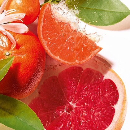 Roger & Gallet Jean-Marie Farina Shower Gel