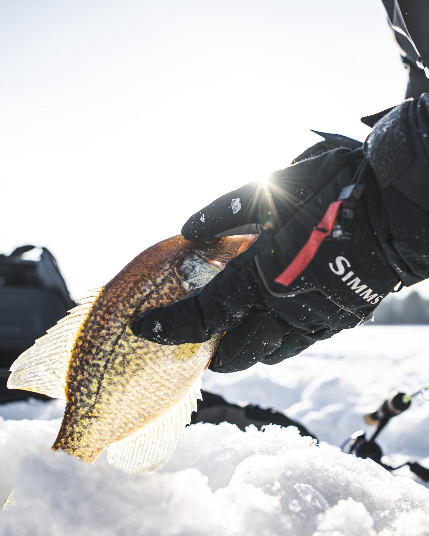 SIMMS Challenger Insulated Glove