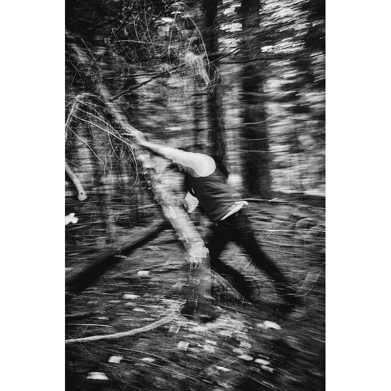 Eagle Plains Vest Liner