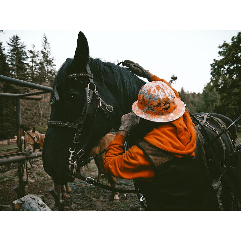 Prospector Full-Zip Hoodie