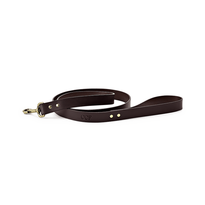 Bridle Leather Dog Leash