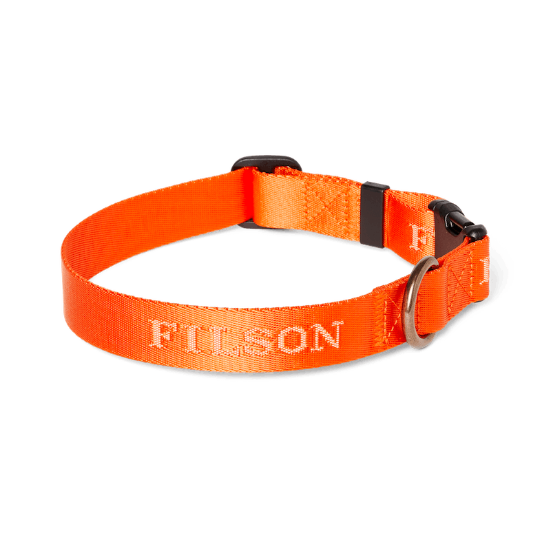 Nylon Dog Collar