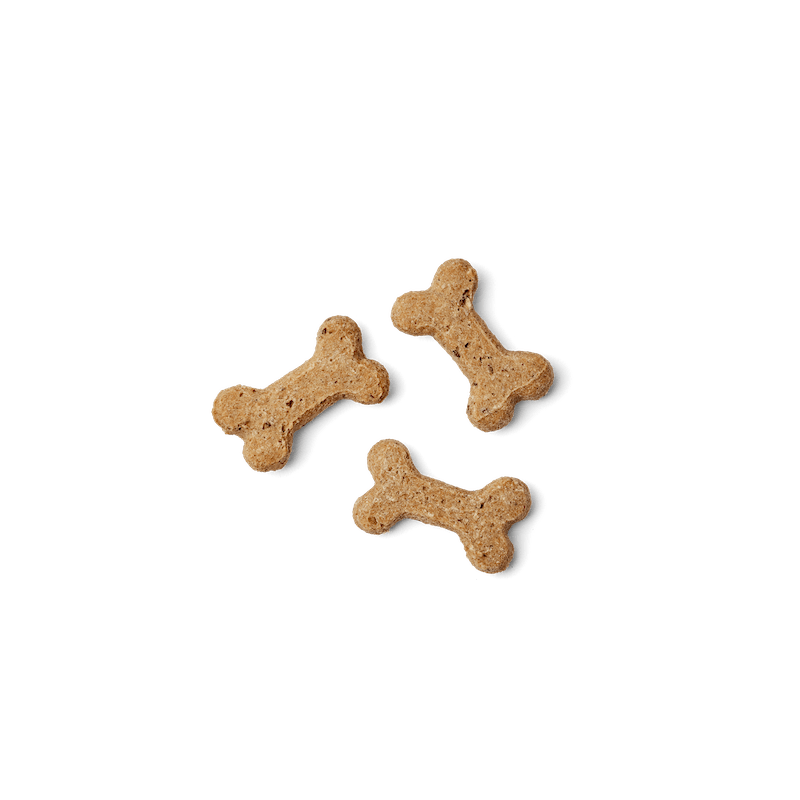 Dog Treats