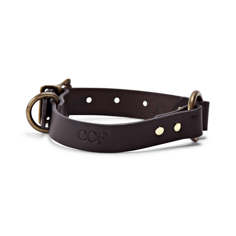 Bridle Leather Dog Collar