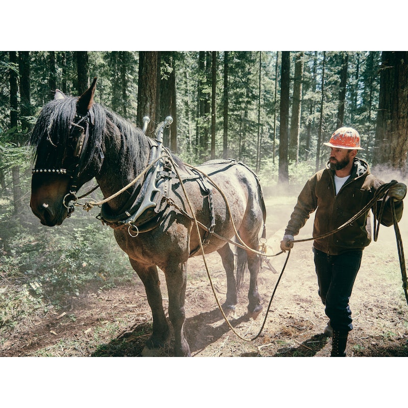 Tin Cloth Foul Weather Hoodie