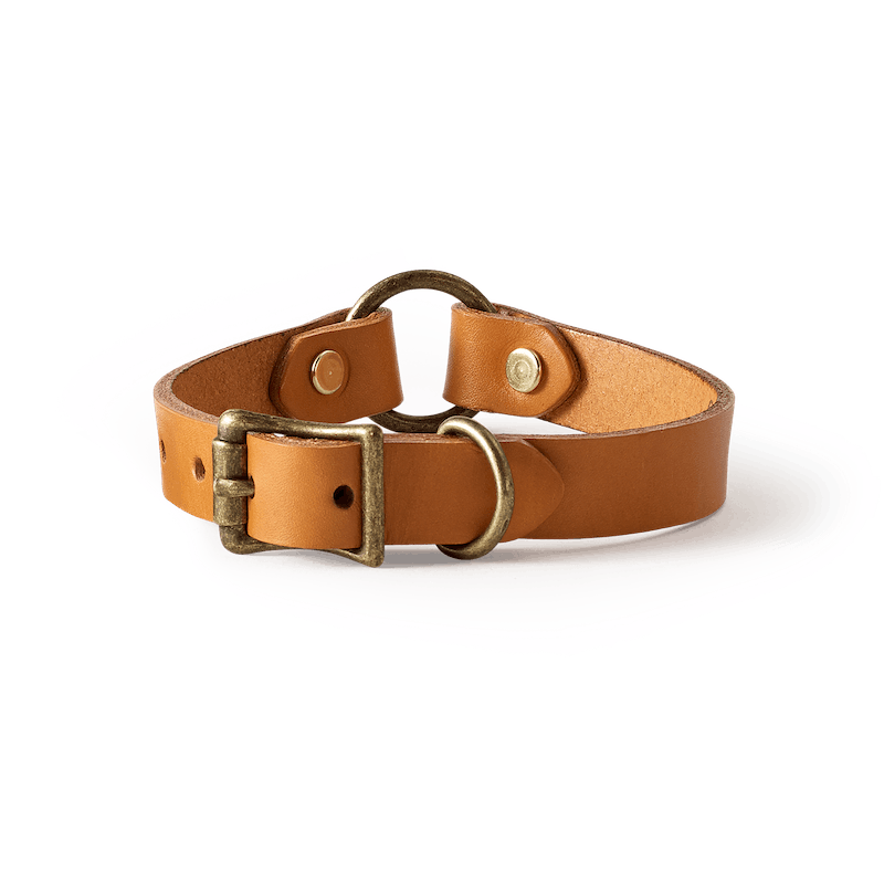 Bridle Leather Puppy Collar