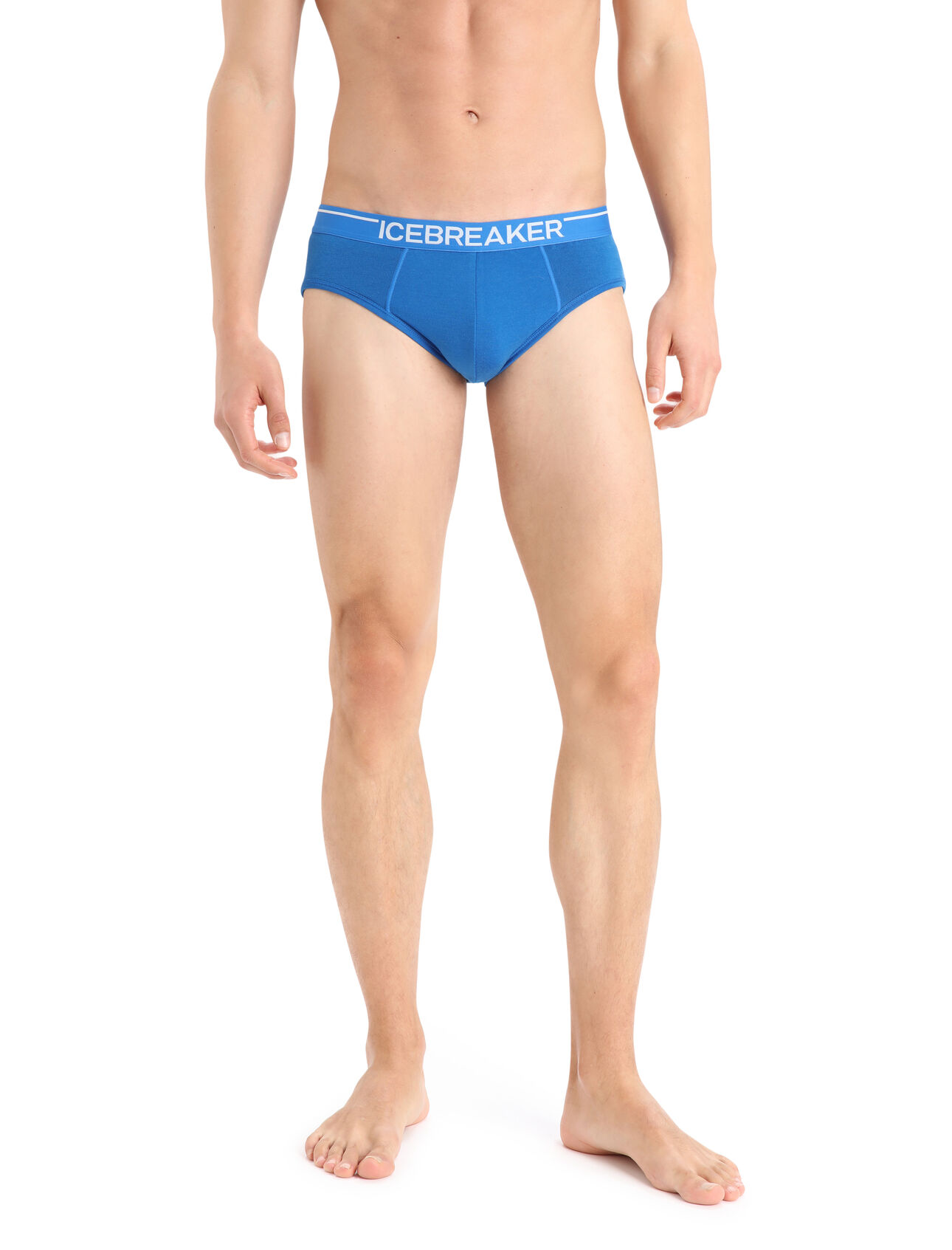 Men's Merino Anatomica Briefs