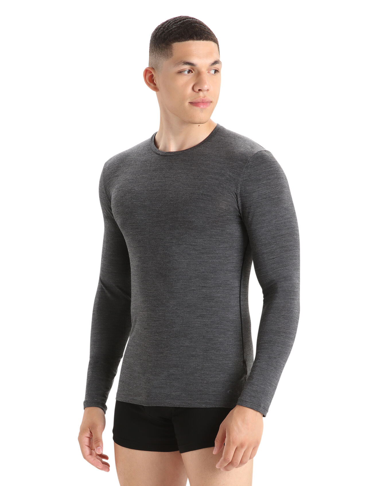 Men's Merino Anatomica Long Sleeve Crewe T-Shirt