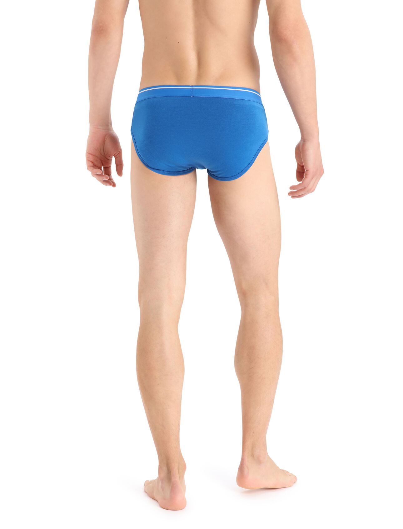 Men's Merino Anatomica Briefs