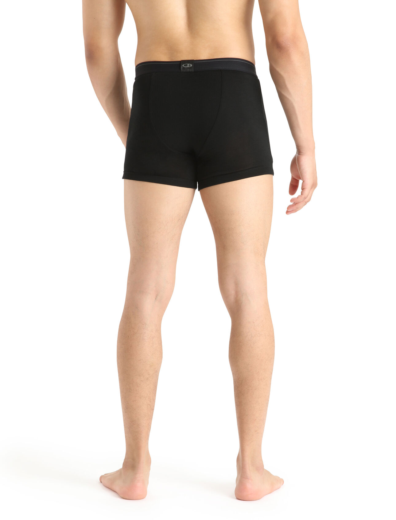 Men's Merino 175 Everyday Thermal Boxers With Fly