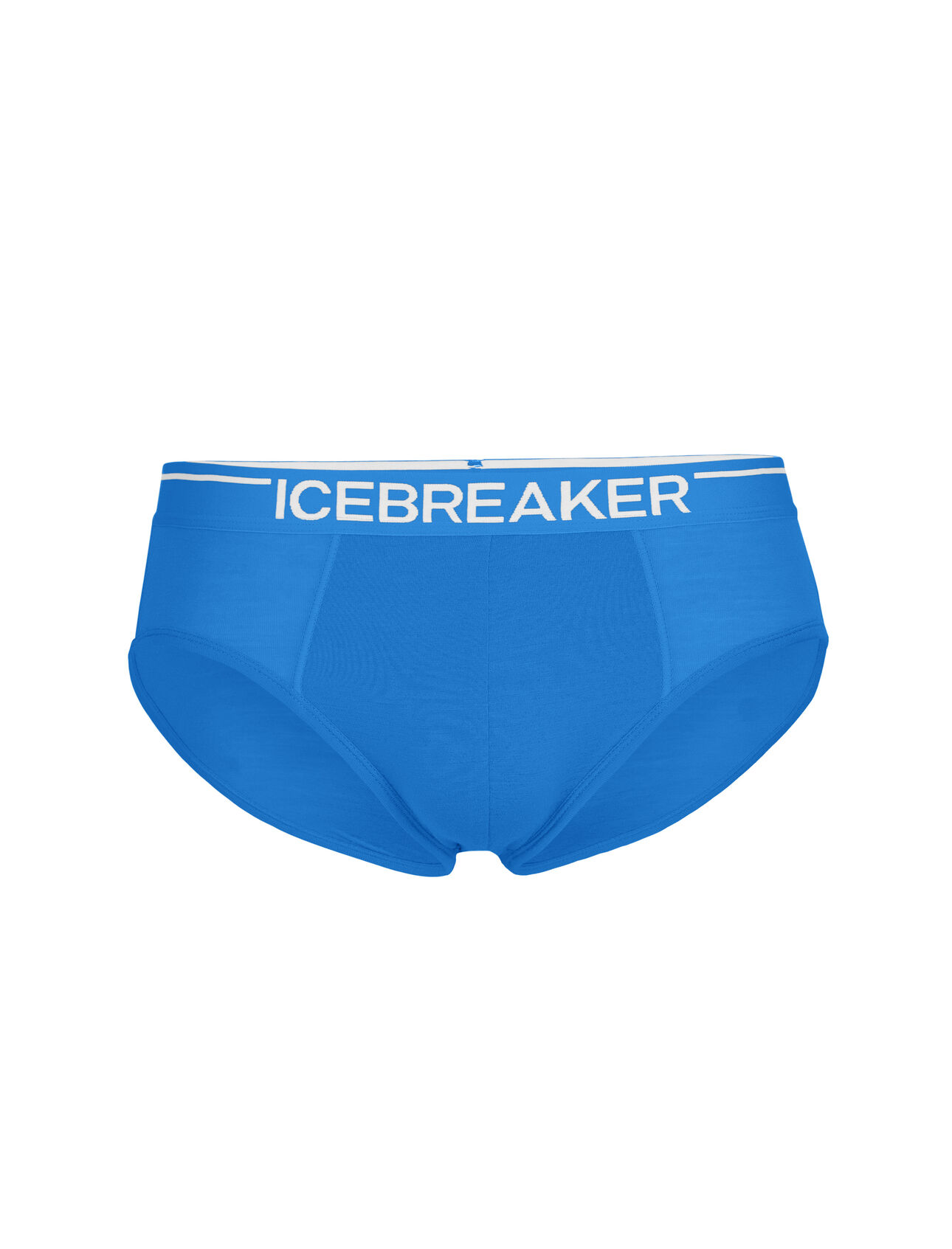 Men's Merino Anatomica Briefs