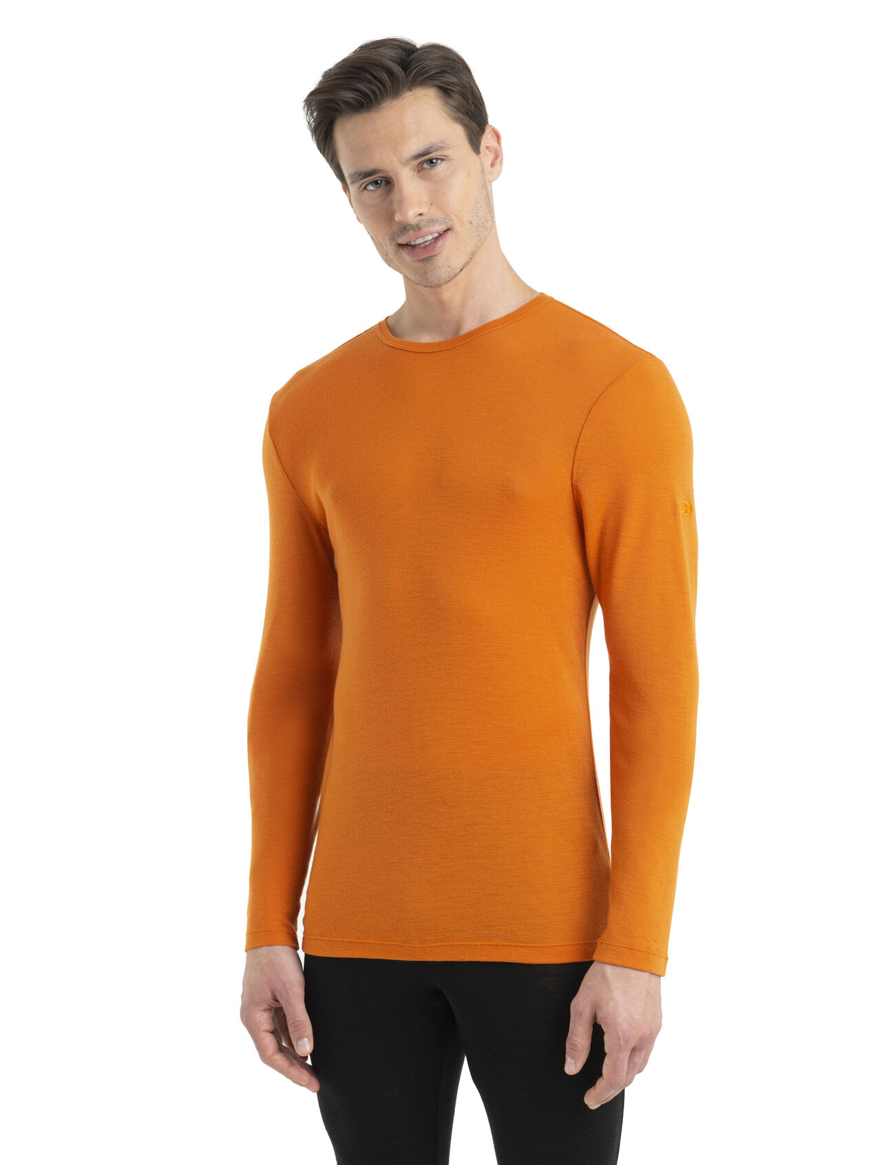 Men's Merino 175 Everyday Long Sleeve Crewe Thermal Top