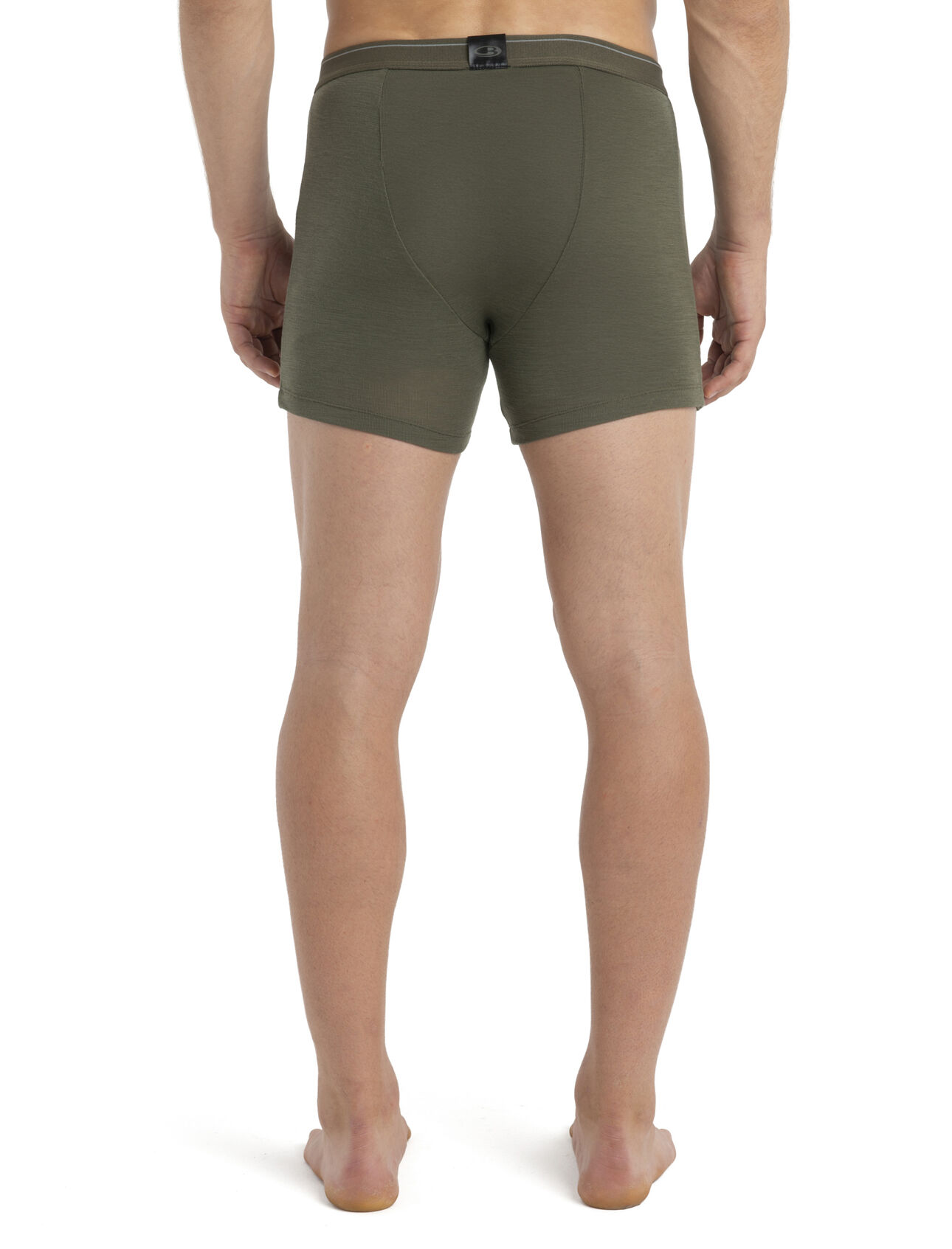 Men's Merino 175 Everyday Thermal Boxers With Fly