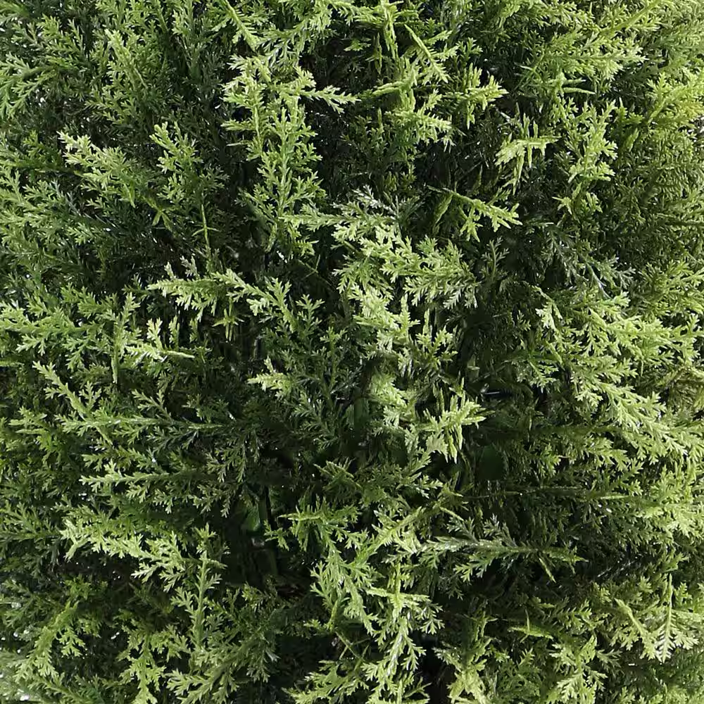 National Tree Company 32