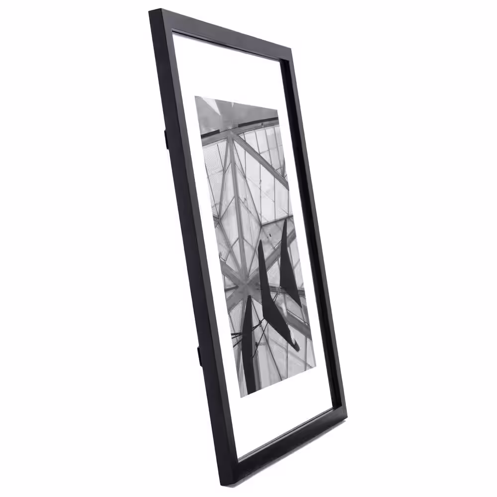 Malden International Designs Malden 16 in. x 20 in. Black Floater Picture Frame