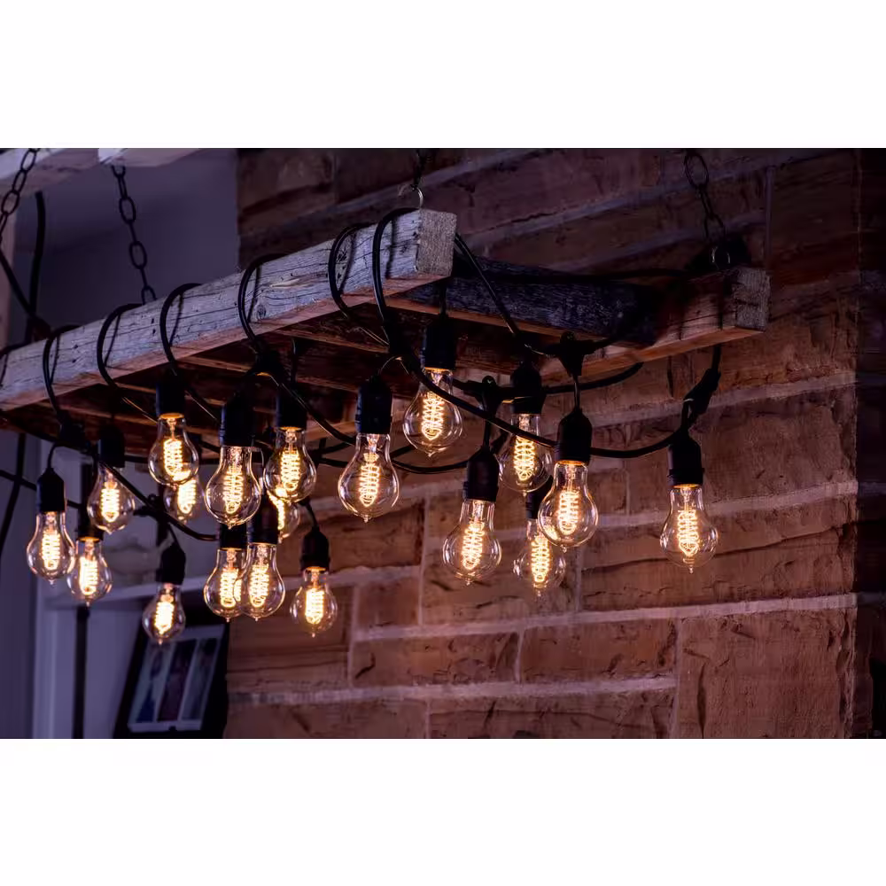 Bulbrite 15 Light 48 ft. Black Indoor/Outdoor Plug-in A19 String LightÂ with Clear Incandescent Bulbs(2 Pack)