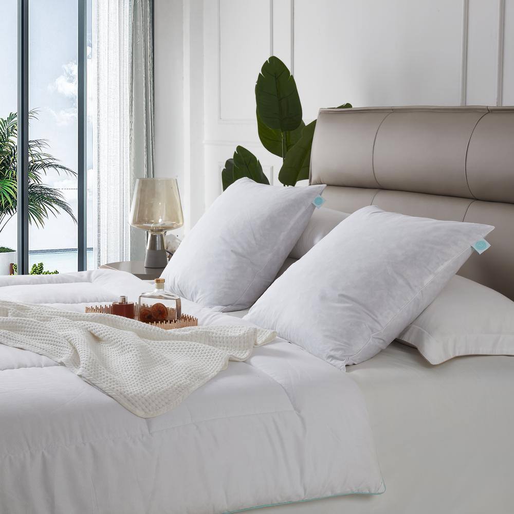 Martha Stewart Living 100% Cotton Decorative Feather Medium Firm Pillow Insert (2-Pack)