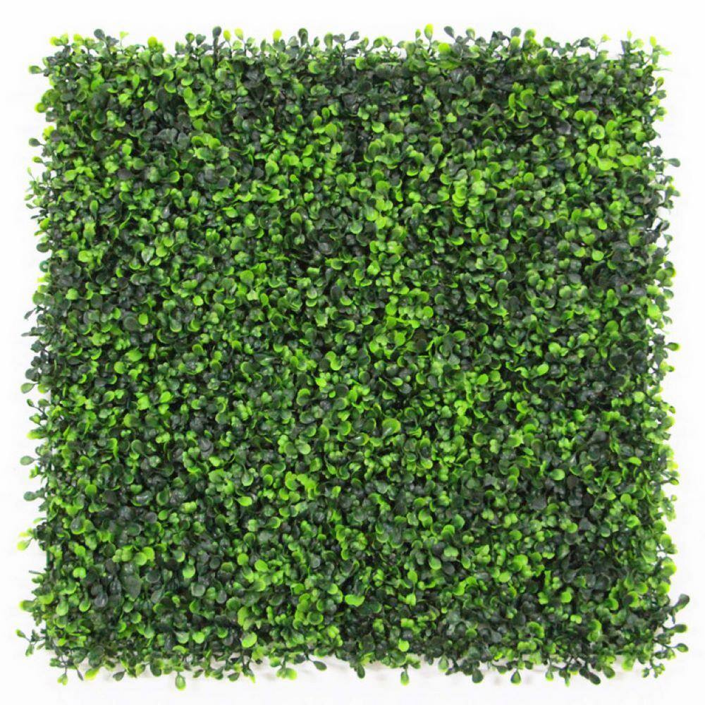 Ejoy Gorgeous Home Artificial Boxwood Hedge Greenery Panels 20 in. x 20 in. / Piece (Set of 24-Piece)