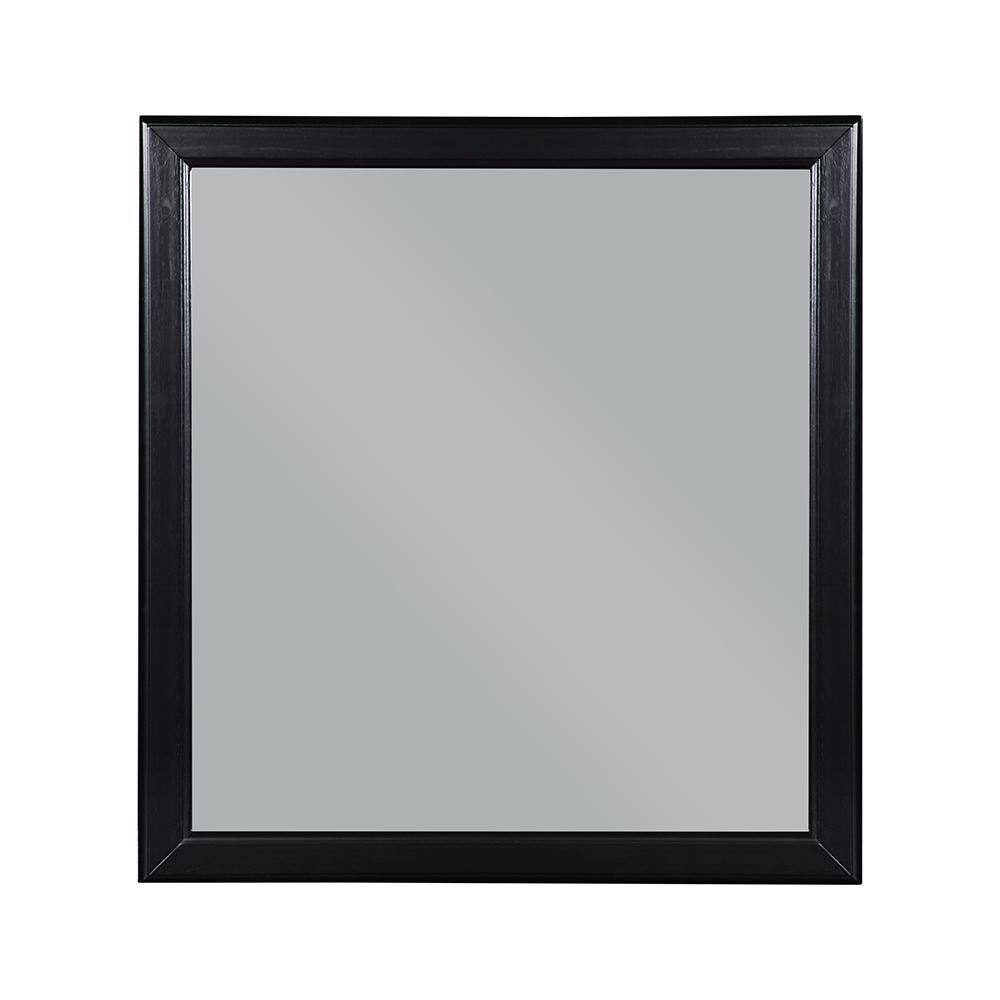 Acme Furniture Louis Philippe 38 in. x 1 in. Modern Rectangle Framed Black Decorative Mirror