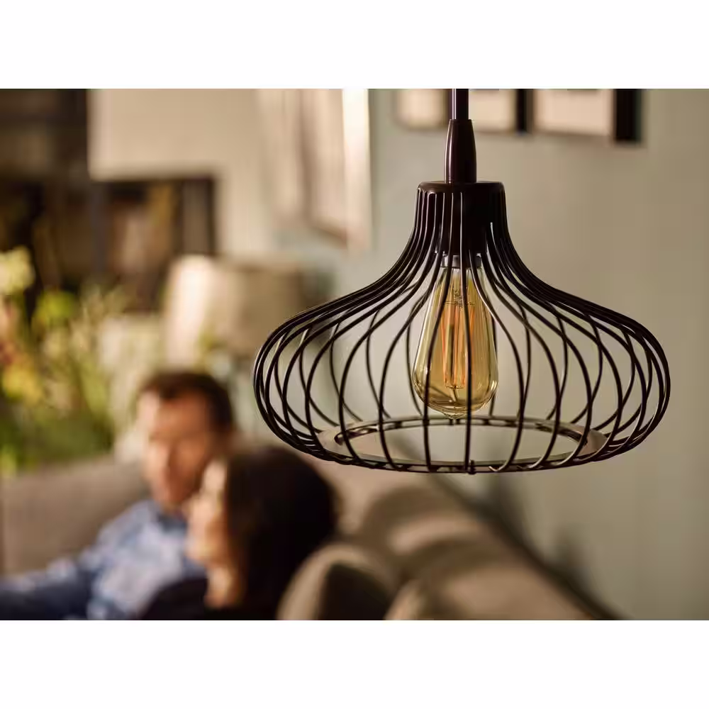 Philips 40-Watt Equivalent ST19 Dimmable Indoor/Outdoor Vintage Glass Edison LED Light Bulb Amber Warm White (2000K) (1-Pack)