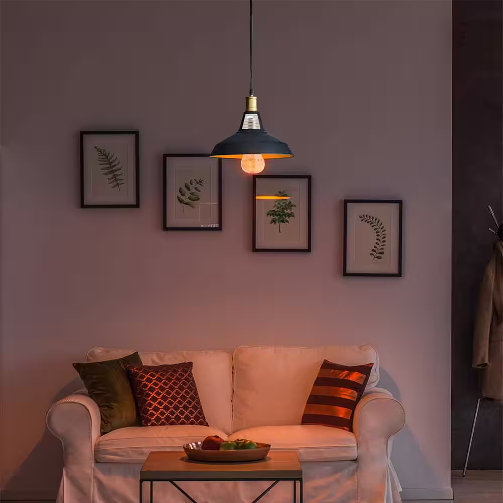 Himalayan Glow 5-Watt Natural Salt Edison LED Night Light Bulb (6-Pack)