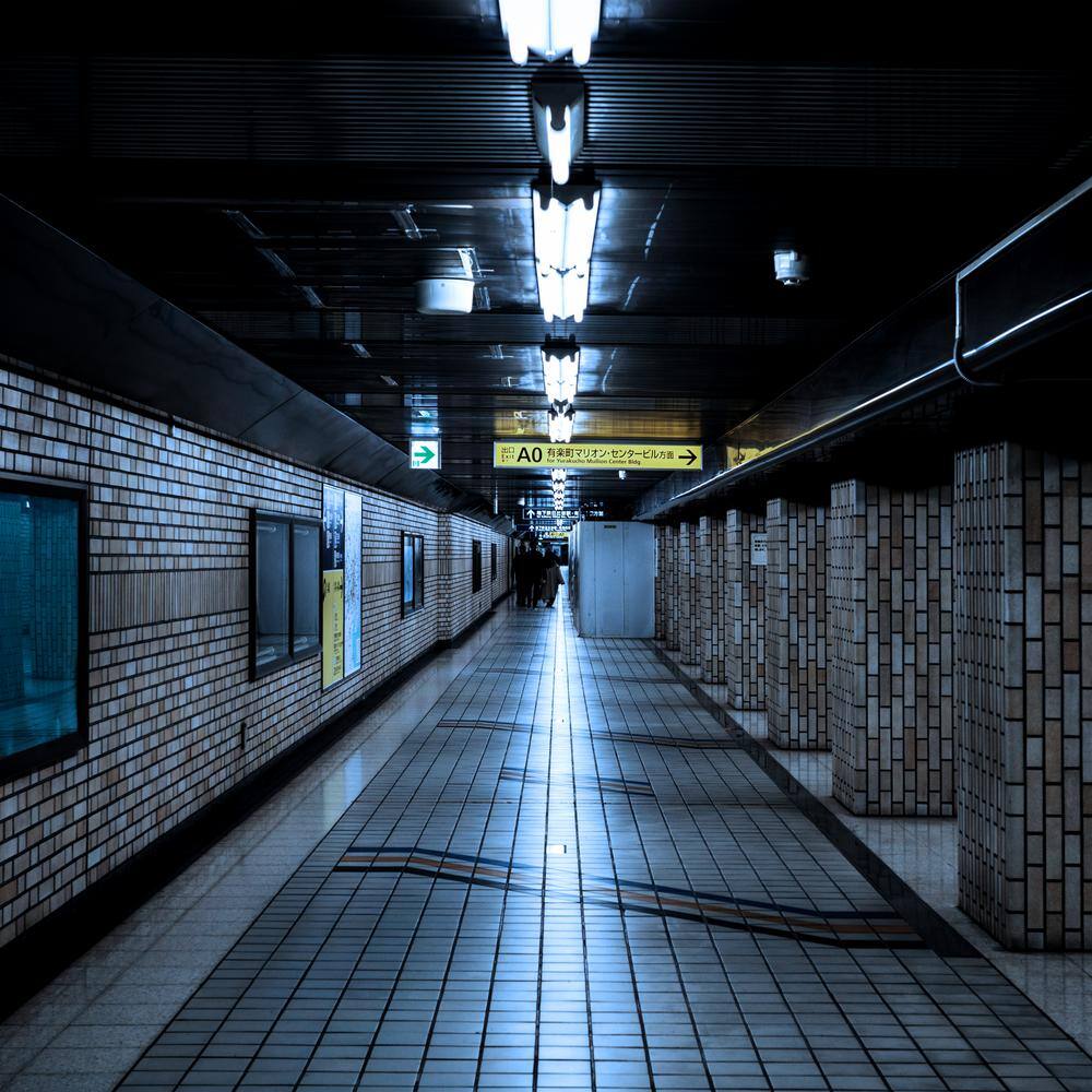 Sunlite 46 in. 28-Watt Linear T5 Fluorescent Tube Light Bulb, Bright Daylight 5000K (40-Pack)