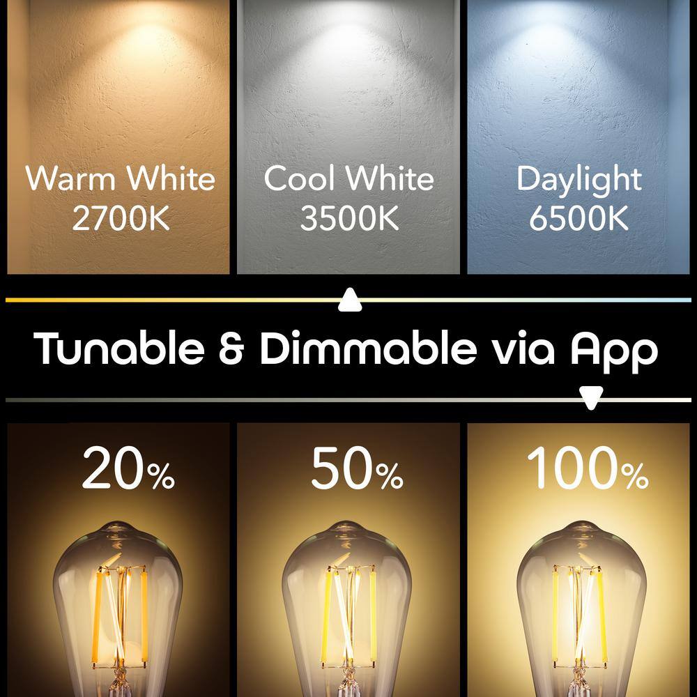 Geeni 60-Watt Equivalent ST19 Dimmable Smart Edison Wi-Fi LED Light Bulb Tunable White (4-Pack)