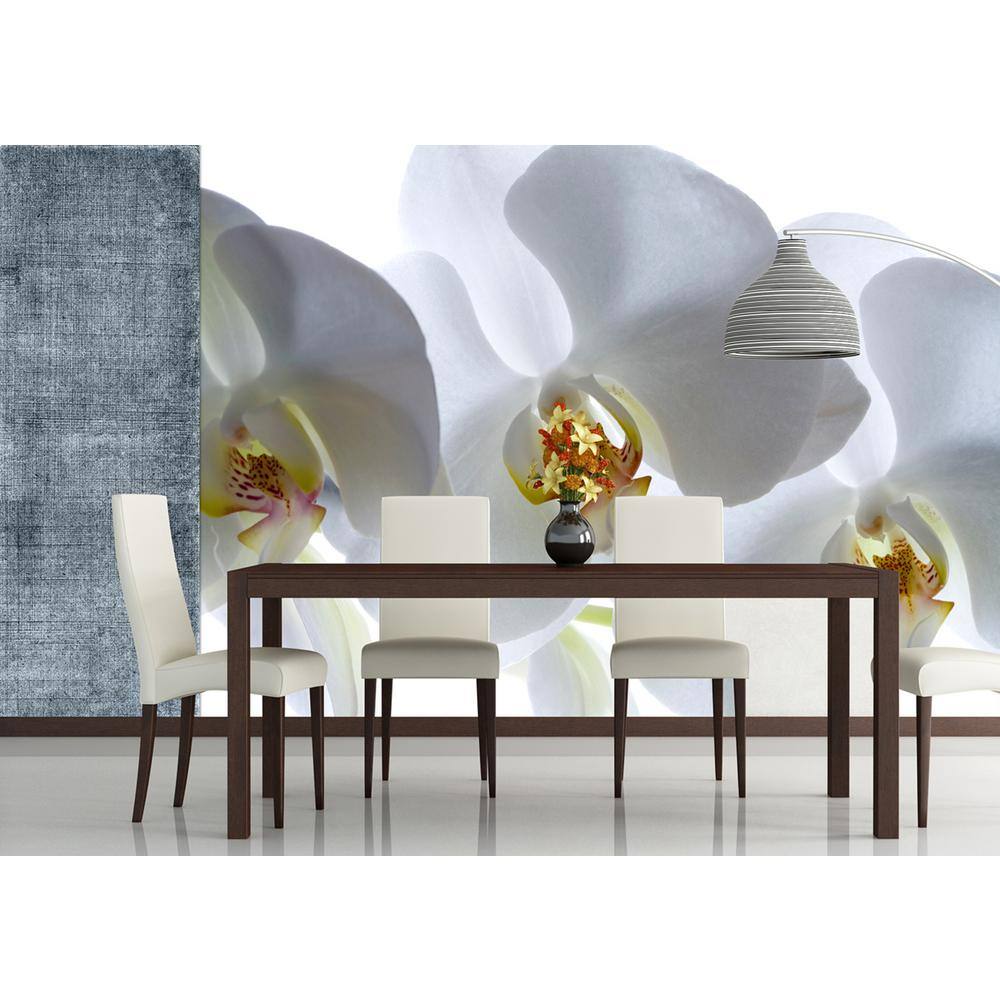 Dundee Deco Falkirk Airdrie Abstract White Orchids Modern Wall Mural